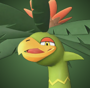 Palumba